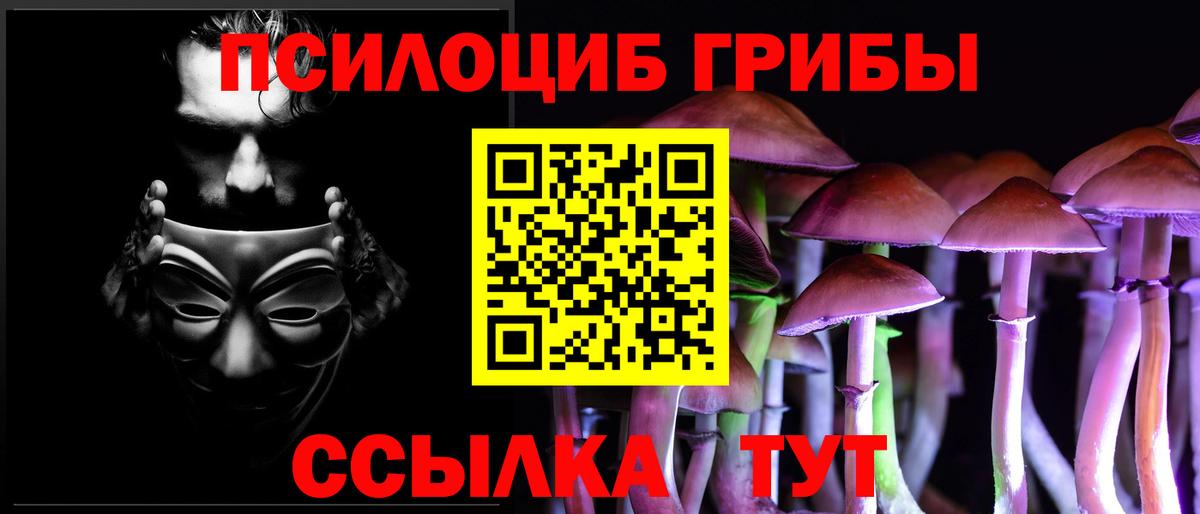 Галлюциногенные грибы мицелий  Галлюциногенные грибы Psilocybe  Бузулук  Вход с VPN 
